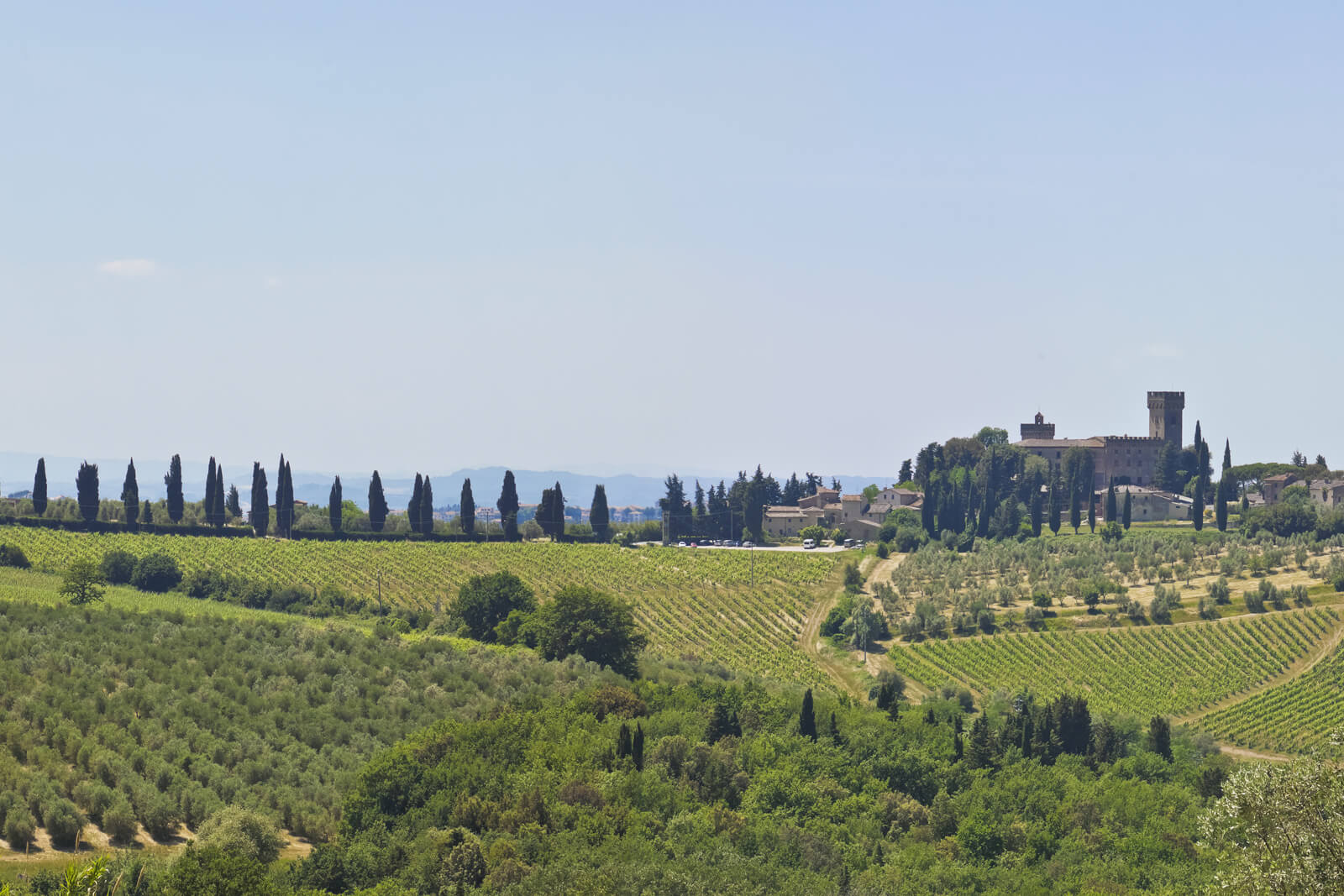 Agenzia Immobiliare Montagnani